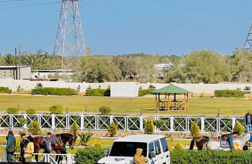 b9165d32 afbe 42a9 b3a5 8d9009d69288 4151ae67