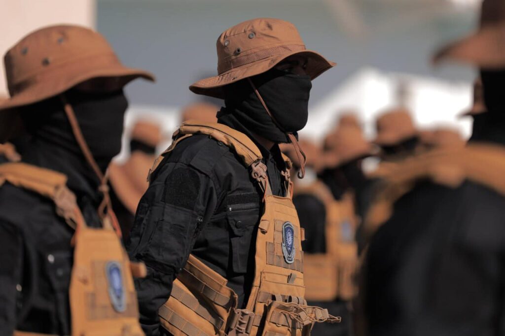 481823856 620545460747730 8301968388680043347 n