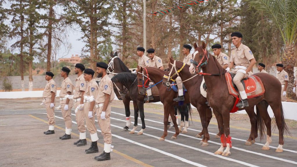 482216088 626653743470235 6147641711634930610 n